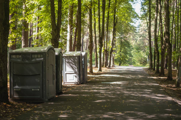 Best Portable Restroom Maintenance and Cleaning  in Stanleytown, VA